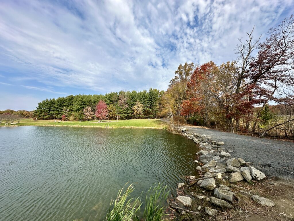 Autumn at Yeager Pond in Austintown Township Park, Austintown, Ohio